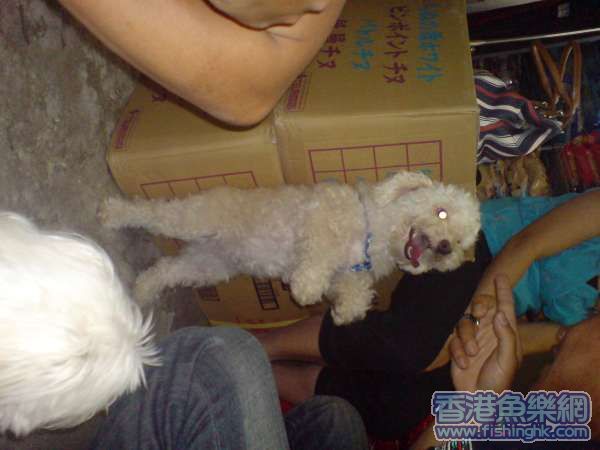 睇下我有冇高左?