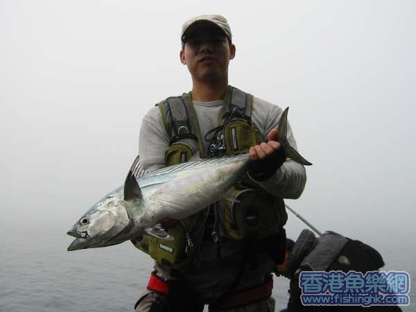 照片 017.jpg