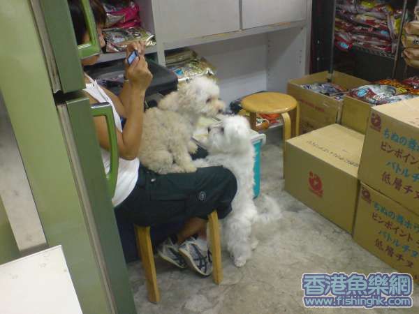 我個仔見到靚女發晒狂