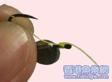 漁師結