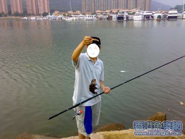 20070611048.jpg