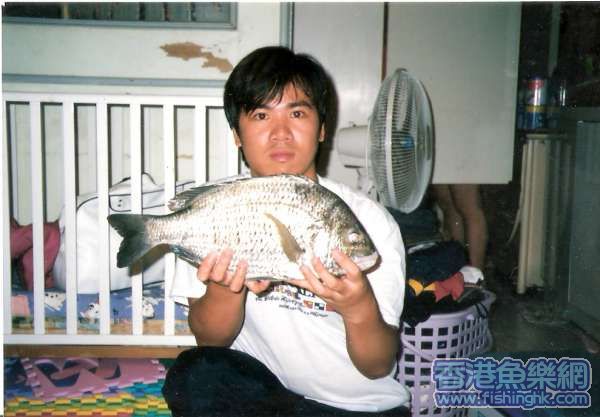 掃瞄0019.jpg