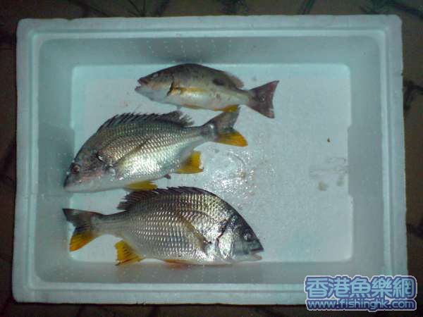 DSC00038.JPG