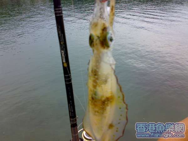 20070617100.jpg