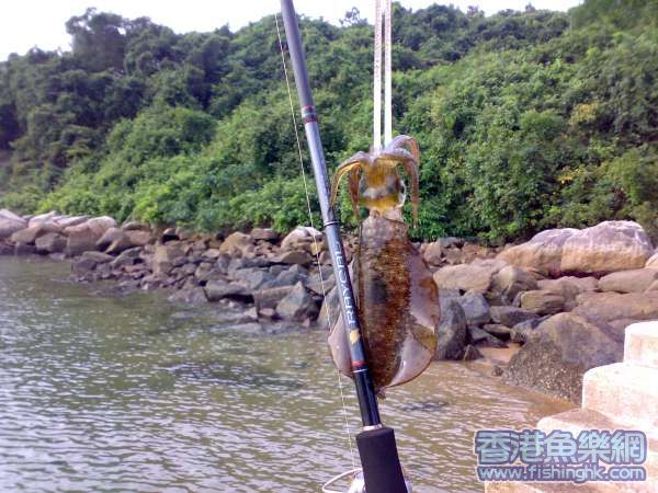 20070619121.jpg