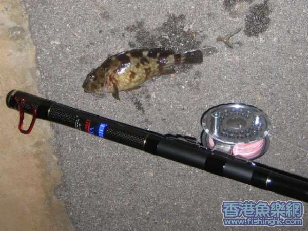 IMG_1182_1.JPG