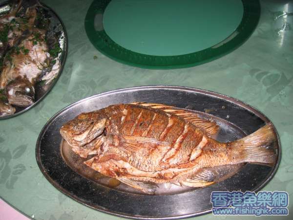 IMG_0042.JPG