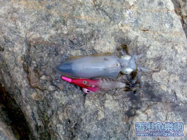 圖像046.jpg
