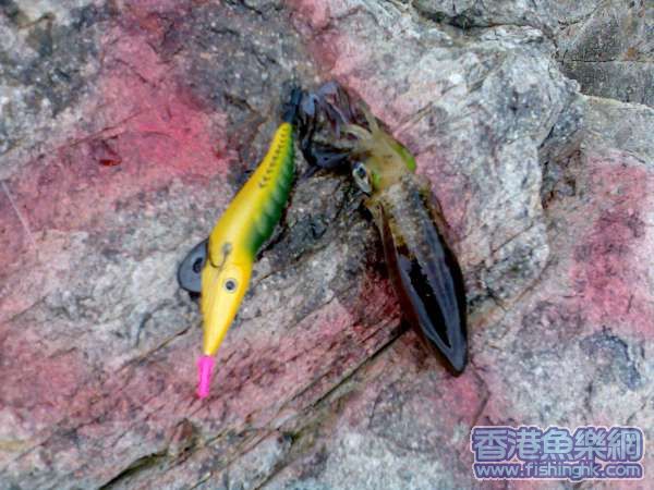 圖像045.jpg