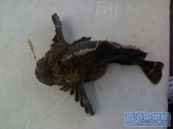 20070503063.jpg