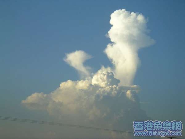 似雞o既雲.jpg