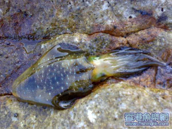 20070624031.jpg
