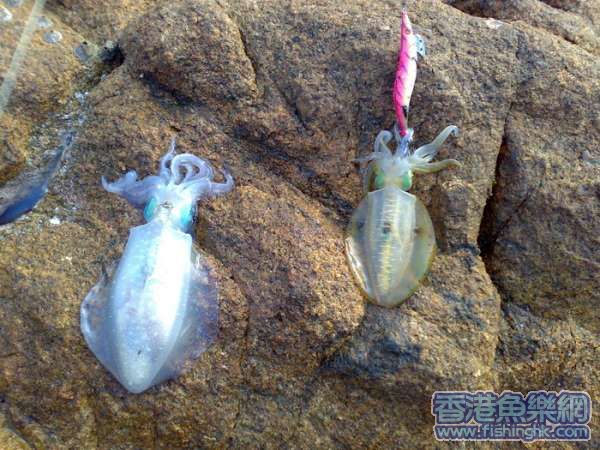 20070624036.jpg