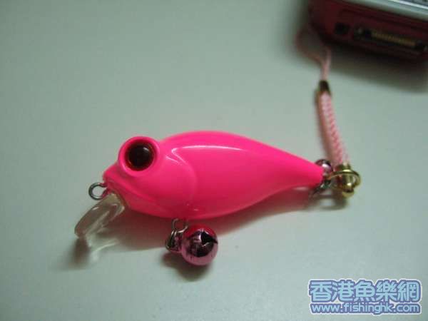 DSCF2410_resize.JPG