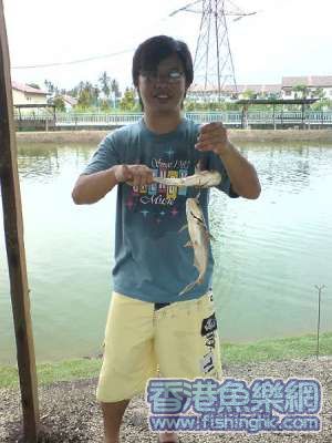 ThaiPatin.JPG