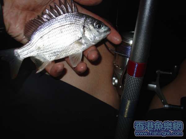 照片 108.jpg