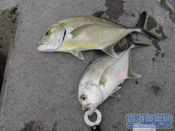 DSCN7925.JPG
