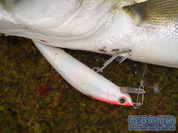 鈎下巴