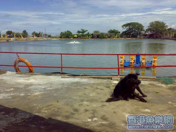 30062007429.jpg