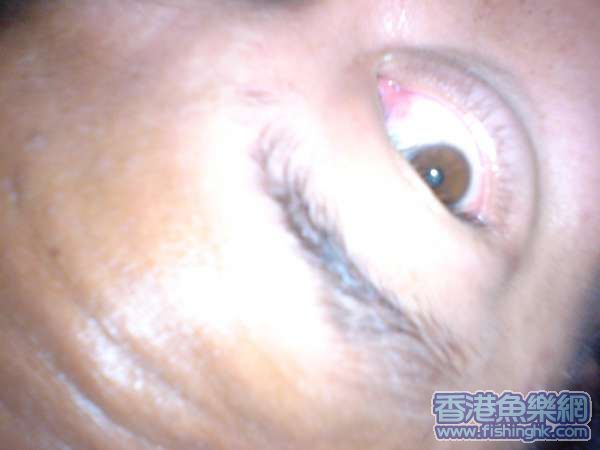 鬼相.......象象也