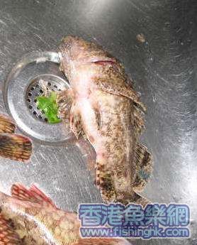 石崇