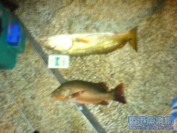 DSC00555.JPG