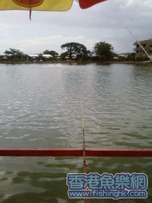 SP_A0040.jpg