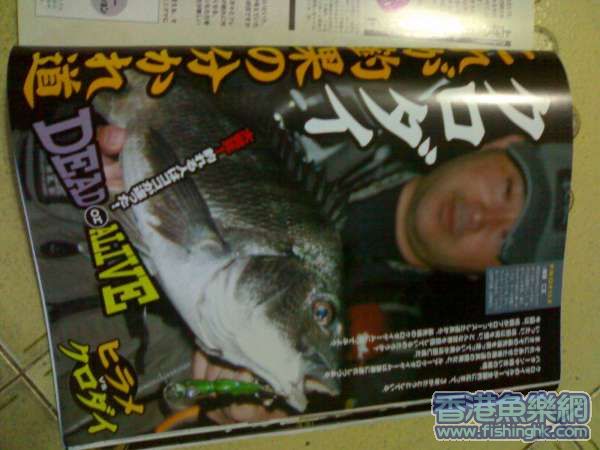 20070711242.jpg