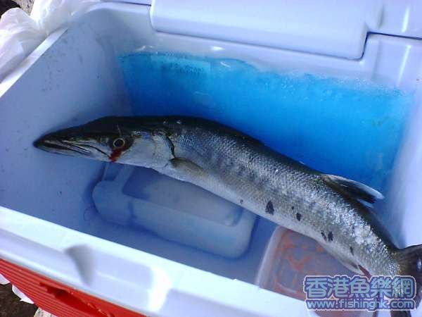 海狼B