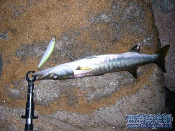 DSCN6177.JPG