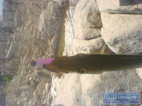 DSC00584.JPG