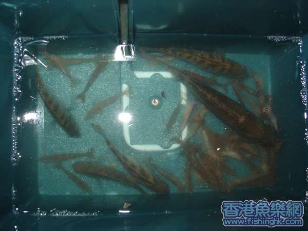 照片 122.jpg