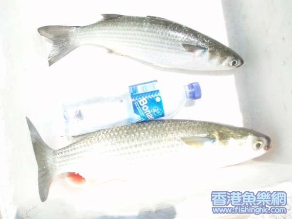 WU19-07-07 001.jpg