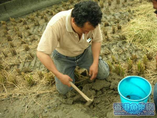 DSCN5153_uDgA0EFskGWR.jpg