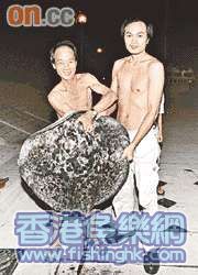 0721nhko30p1.gif