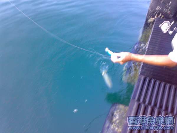 20070722158.jpg