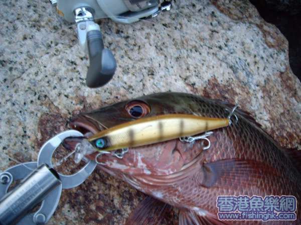 38cm