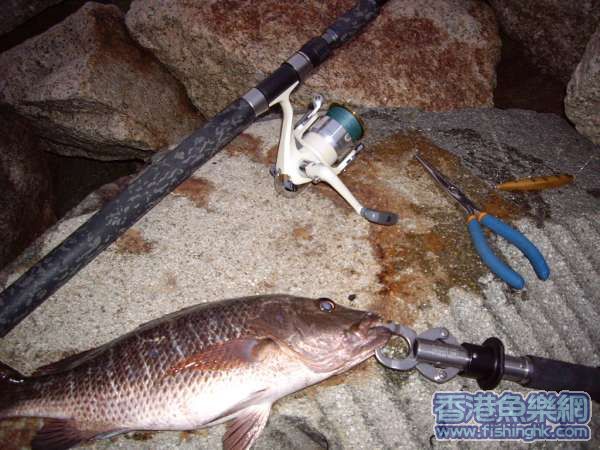 40cm