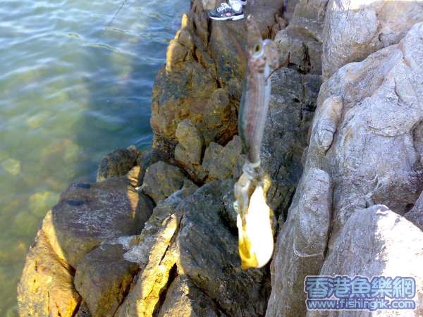 20070721058.jpg