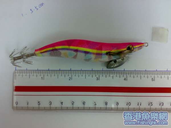 20070724240_調整大小.jpg