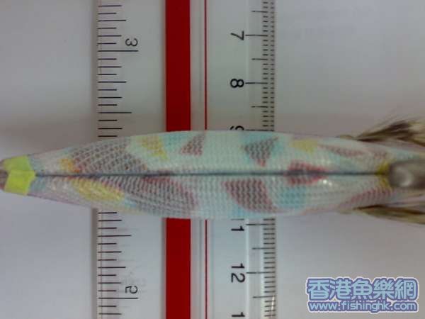 20070724236_調整大小.jpg