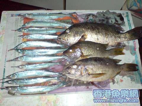 DSC00934.JPG