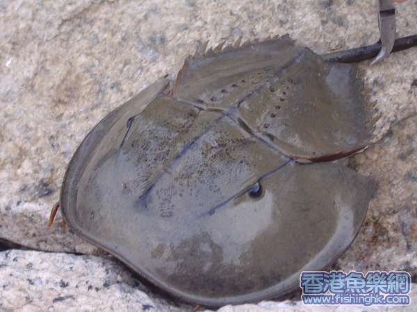 照片 180.jpg