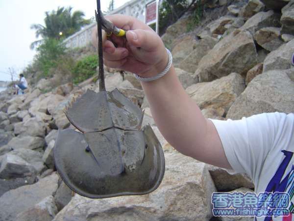 照片 171.jpg