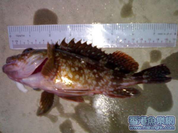 200702130721.jpg
