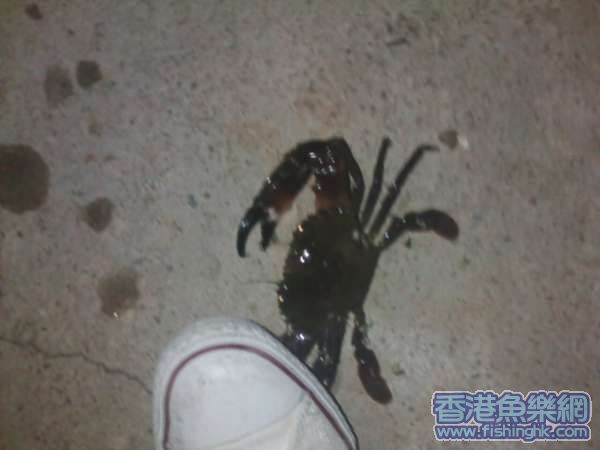 IMG028.JPG
