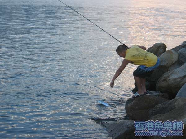 苦榮中魚