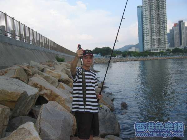 我到捉番隻