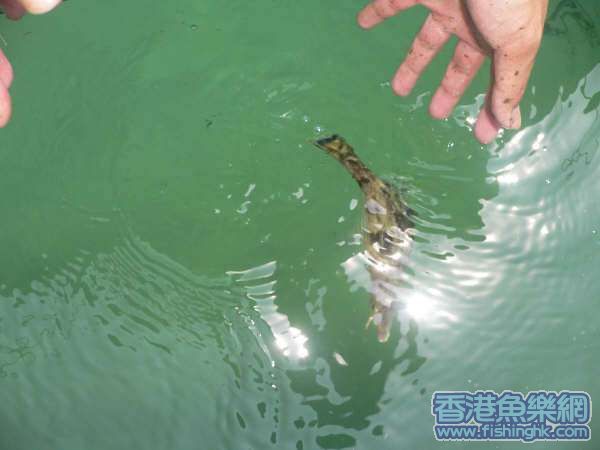 照片 044.jpg