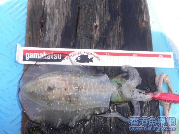 照片 017.jpg